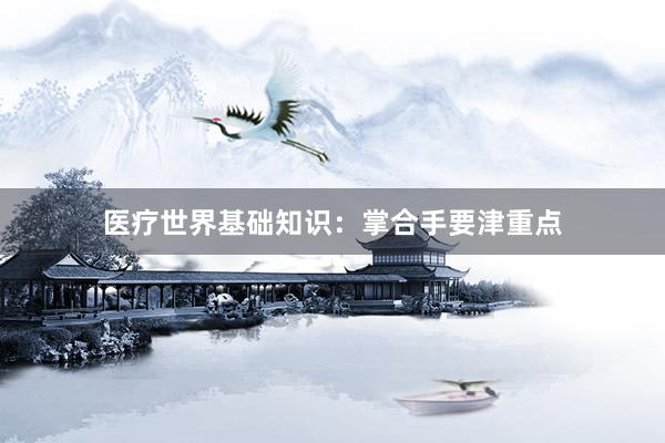 医疗世界基础知识：掌合手要津重点